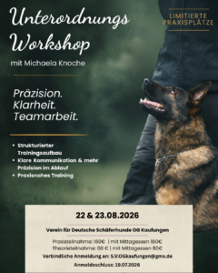 Unterordnung Workshop Kaufungen