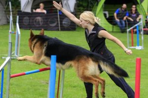 WhatsApp Image 2026-01-28 at 15.22.37 (1) WhatsApp Image 2026-01-28 at 15.22.37 (1)